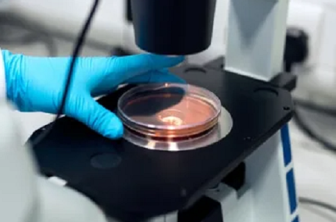 Passport Service Center