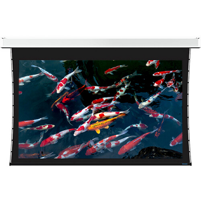 stewart projector screen