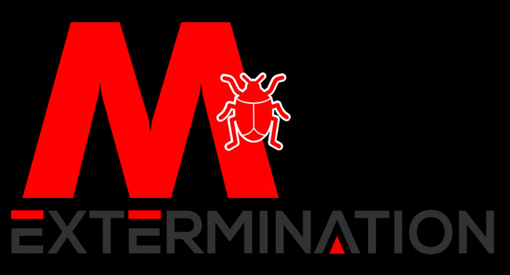 Exterminateur Fourmis Granby