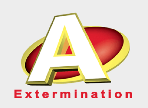 Exterminateur Fourmis